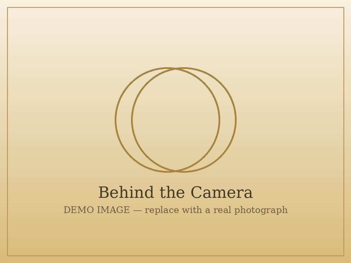 Photographer at work at a wedding in Bharatpur — demo image, replace with a real photograph